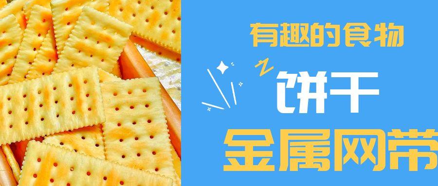 【有趣的食物】餅干到底用到多少金屬網(wǎng)帶？